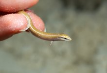 DSC_8760.jpg