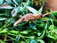 IMG_2858.jpg