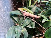 IMG_2859.jpg