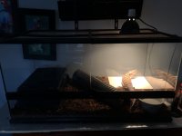IMG_8939.jpg
