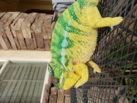 20201206_124528.jpg