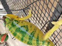 20201206_124323.jpg