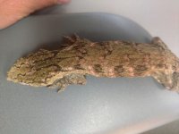 IMG_20200909_160512450.jpg
