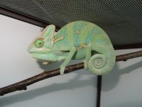 DSC09085.jpg