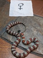 IMG_20201202_222956.jpg