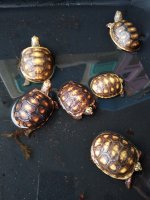 IMG_20201018_165224718.jpg