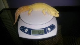 raweight.jpg