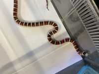 158E8287-931F-4376-85ED-D9F3825710D9.jpg