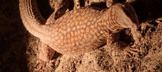 20201110_175125.jpg