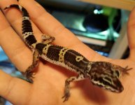 20201008_143454.jpg
