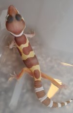 20201008_144444.jpg