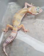 20201008_143646.jpg