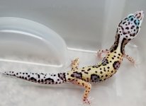 20201008_144109.jpg
