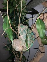 IMG_3237.jpg