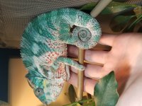 20201008_193905.jpg