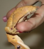 IMG_0661.JPG