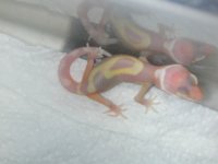 2005 Babies 084.jpg