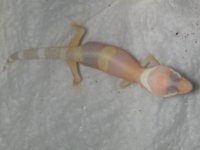 2005 Babies 085.jpg