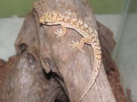 PICT0056.JPG
