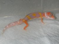 2005 Babies 088.jpg