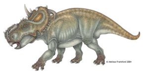 pachyrhinosaurus.jpg