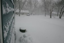 snow1.jpg