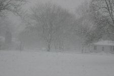 snow2.jpg