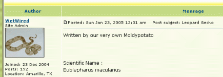 leopardgecko-moldypotato.gif