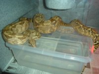 Picture 005.jpg