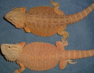 9_22_04_104.jpg