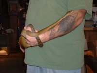 animal pics 062.jpg