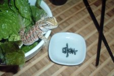 Saki 009.jpg