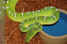 1 A Emerald Rack 001_edited-1.jpg