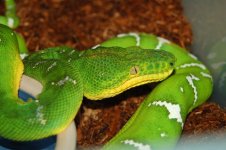 1 A Emerald Rack 009_edited-1.jpg