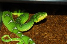 1 A Emerald Rack 012_edited-1.jpg