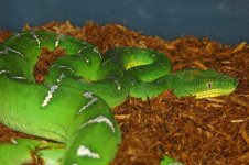 1 A Emerald Rack 020_edited-1.jpg