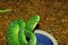 1 A Emerald Rack 2 012_edited-1.jpg