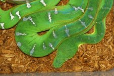 1 A Emerald Rack 2 017_edited-1.jpg