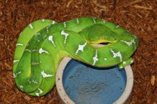 1 A Emerald Rack 3 003_edited-1.jpg