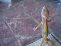 IMG_2149.JPG