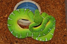 1 A Emerald Rack 3 009_edited-1.jpg