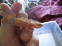 IMG_2128.JPG