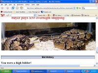 Reptibid 2.JPG