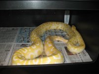 Img_0279.jpg