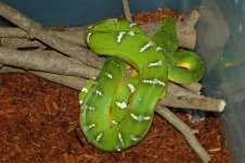 1 A Emerald Rack 4 014_edited-1.jpg