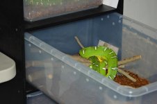 1 A Emerald Rack 4 018_edited-1.jpg