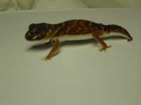 dsc01304.jpg