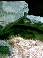 Image004 (Small).jpg