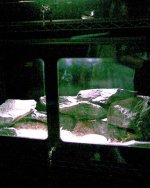 Image000 (Small).jpg