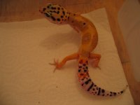 img_0091.jpg